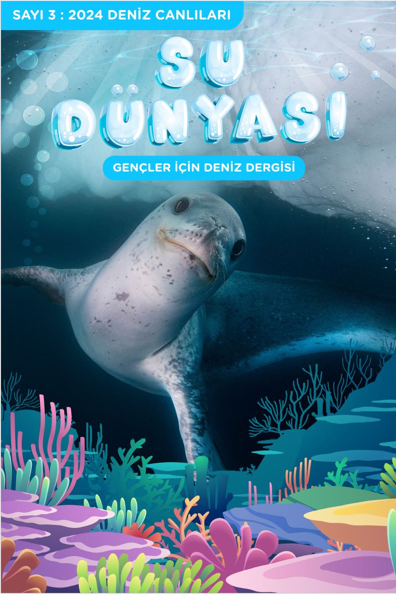 su dünyası sayı 3, su dünyası çocuk dergisi 3. sayı