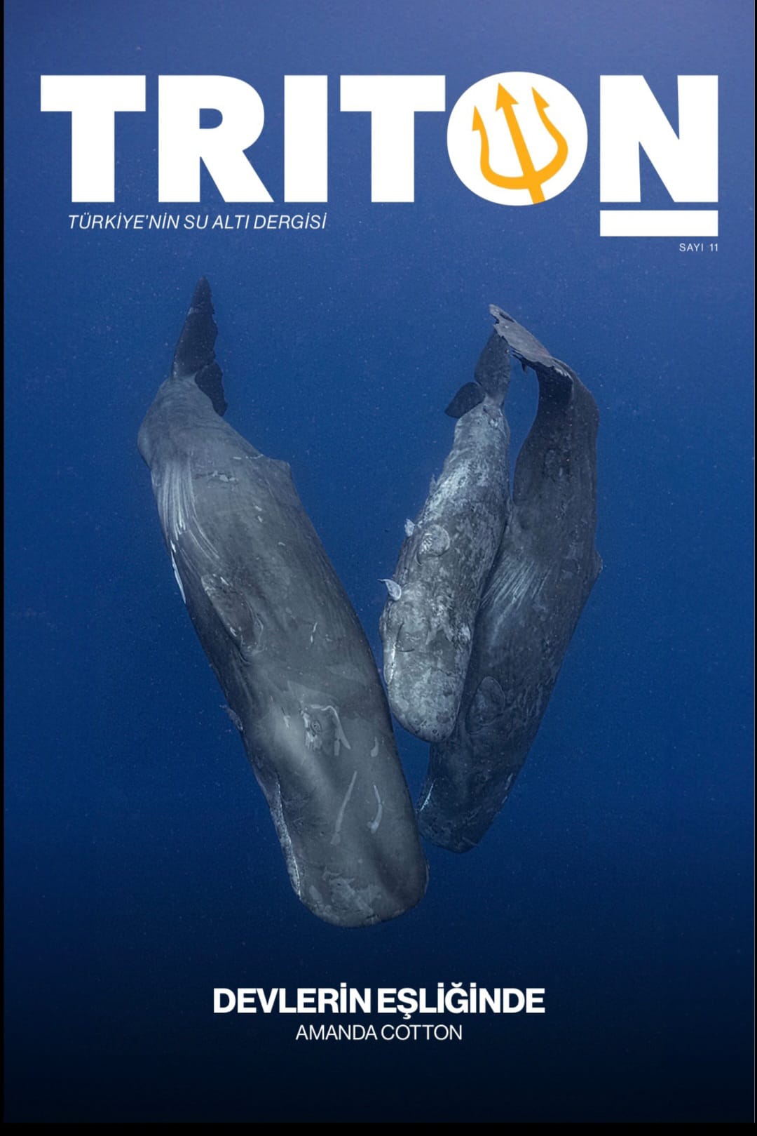 triton dıve magazine dergisi, triton dive 2024 yılbaşı sayısı, triton dive yılbaşına özel sayı, Peter Salvatore, Engin Aygün, Mahmut Süner