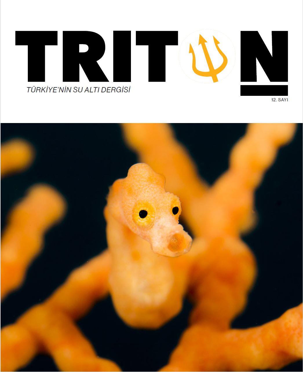 triton dive magazine dergisi, triton dive 12.sayı, triton 12.sayımız, Peter Salvatore, Engin Aygün, Mahmut Süner