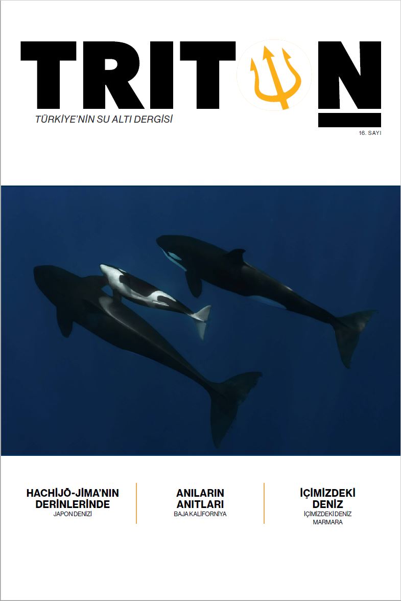 triton 16.sayı, su dünyası çocuk dergisi 3. sayı