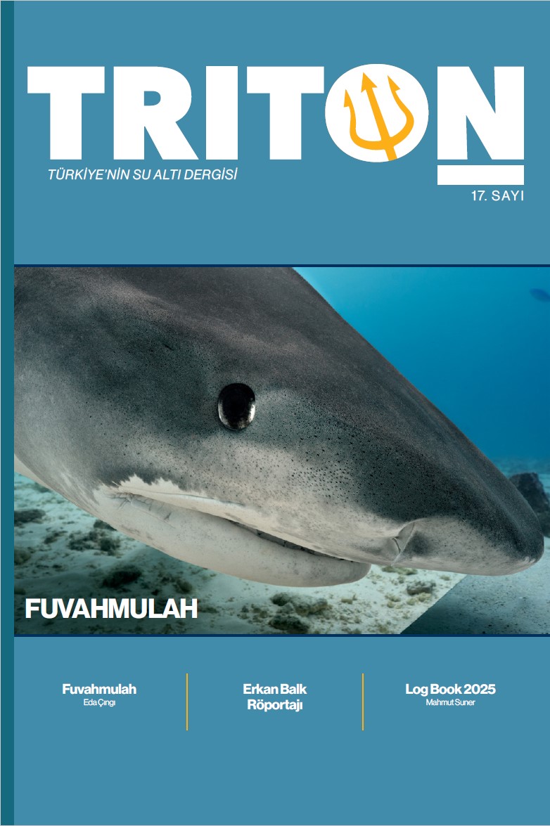 triton 17.sayi
